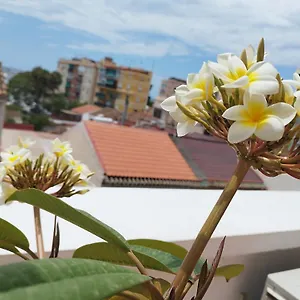  Apartamento Plumaria